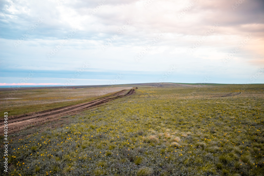 Fototapeta premium road in field