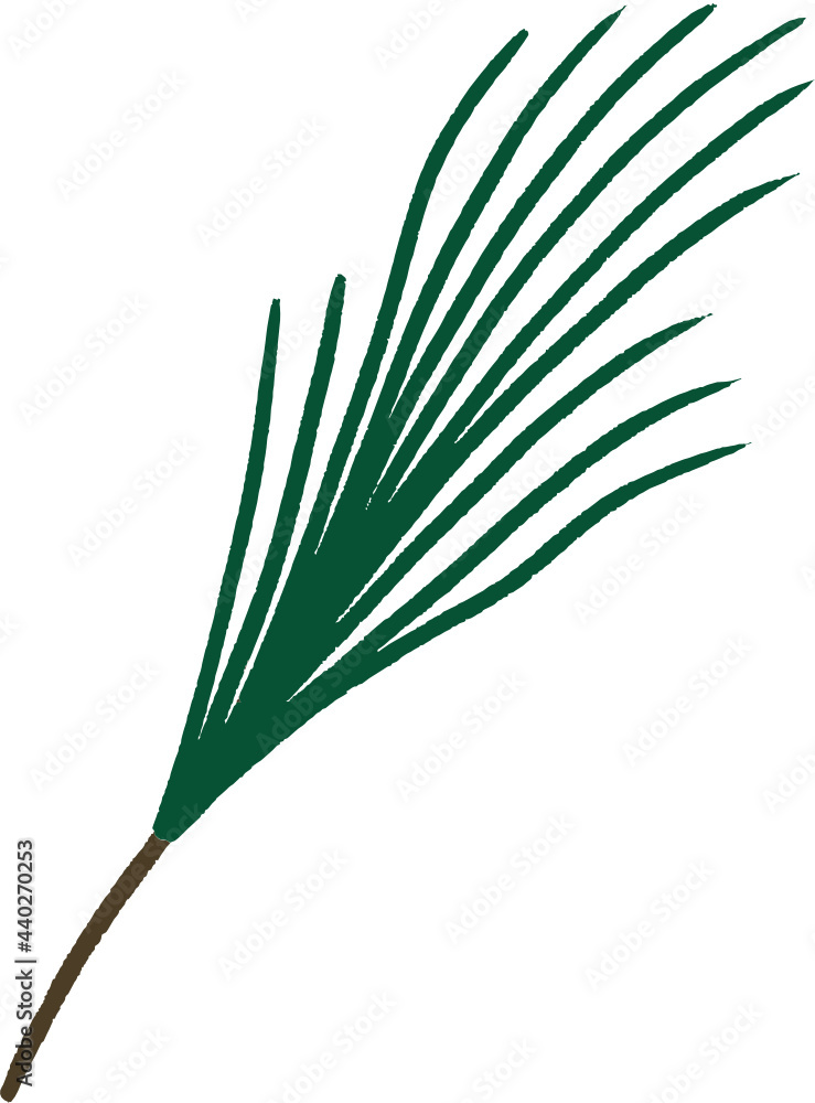 Obraz premium Hand drawn Leaves