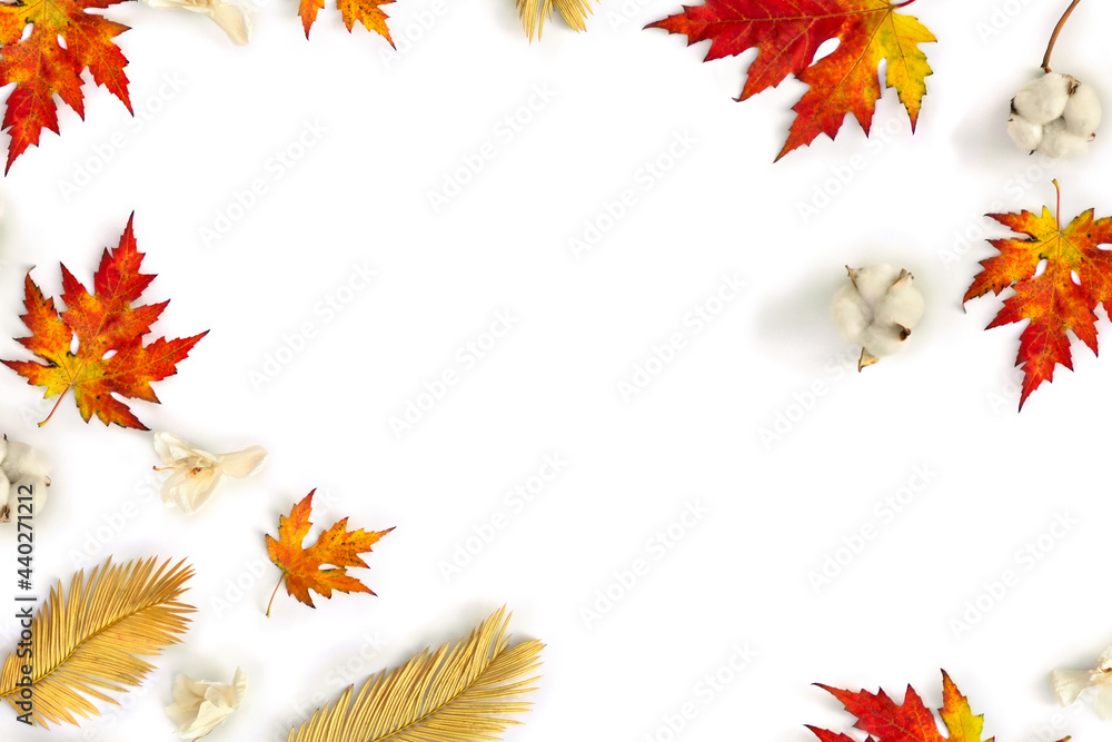 Frame of autumnal maple leaves, golden yellow leaves palm tree, cotton flowers, dry white flowers orchid on white background with space for text. Top view, flat lay Frame of autumnal maple leaves, golden yellow leaves palm tree, cotton flowers, dry white flowers orchid on white background with space for text. Top view, flat lay