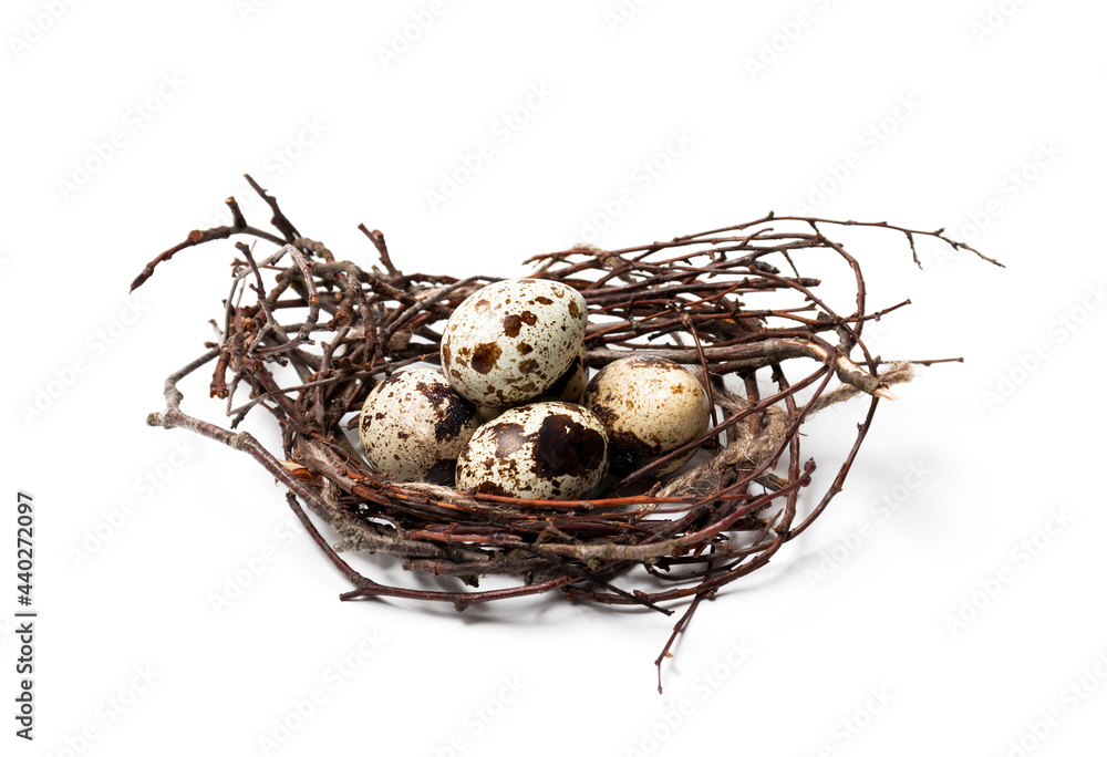 Obraz premium The quail eggs in the nest close up on a white background. isolate. The concept of eating healthy foods for daily nutrition and diet