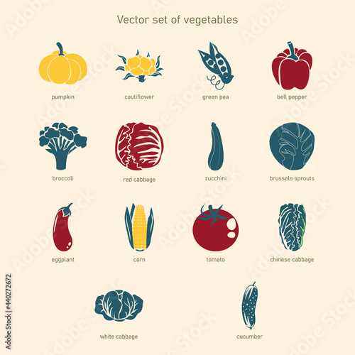 Vector set of vegetable. Collection of icons  pumpkin, cauliflower, green pea, bell pepper, broccoli, cabbage, zucchini, Brussels sprout, eggplant, corn, tomato, Chinese cabbage, cucumber.