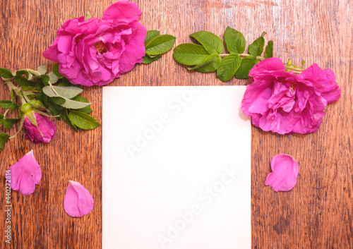 Sheet of white paper with rosehip flower and its petals on a wooden table