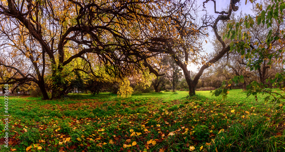 Naklejka premium Panorama Parque