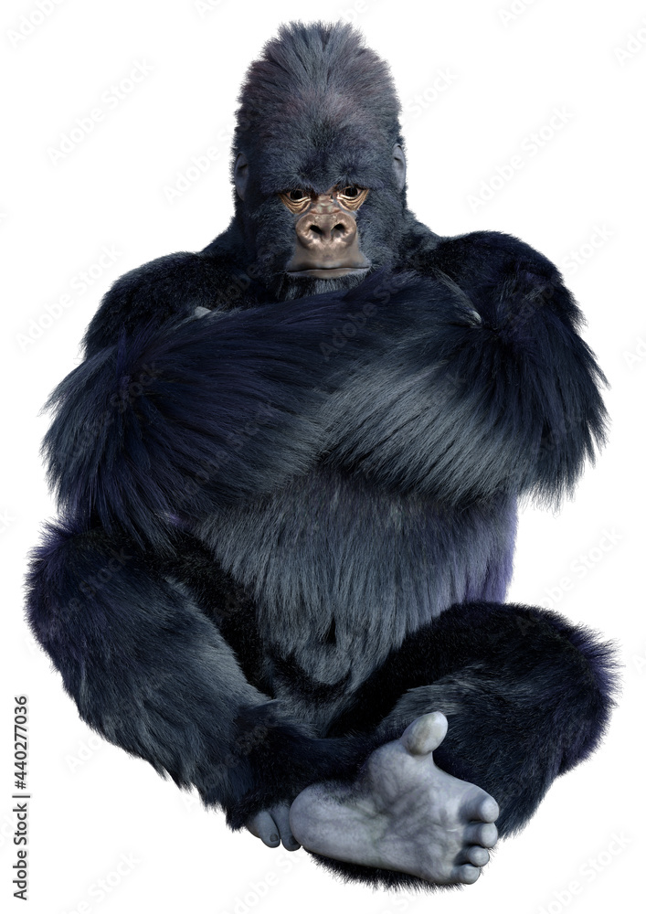 3D Rendering Black Gorilla Ape on White 3D Rendering Black Gorilla Ape on White