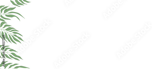 Floral web banner with drawn color exotic leaves. Nature concept design. Modern floral compositions with summer branches. Vector illustration on the theme of ecology, natura, environment