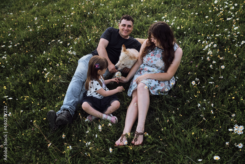 Fototapeta premium Young Caucasian European happy family with half breed white Swiss Shepherd is enjoying life. Mom dad daughter and big fluffy white dog relax in chamomile field in nature park.