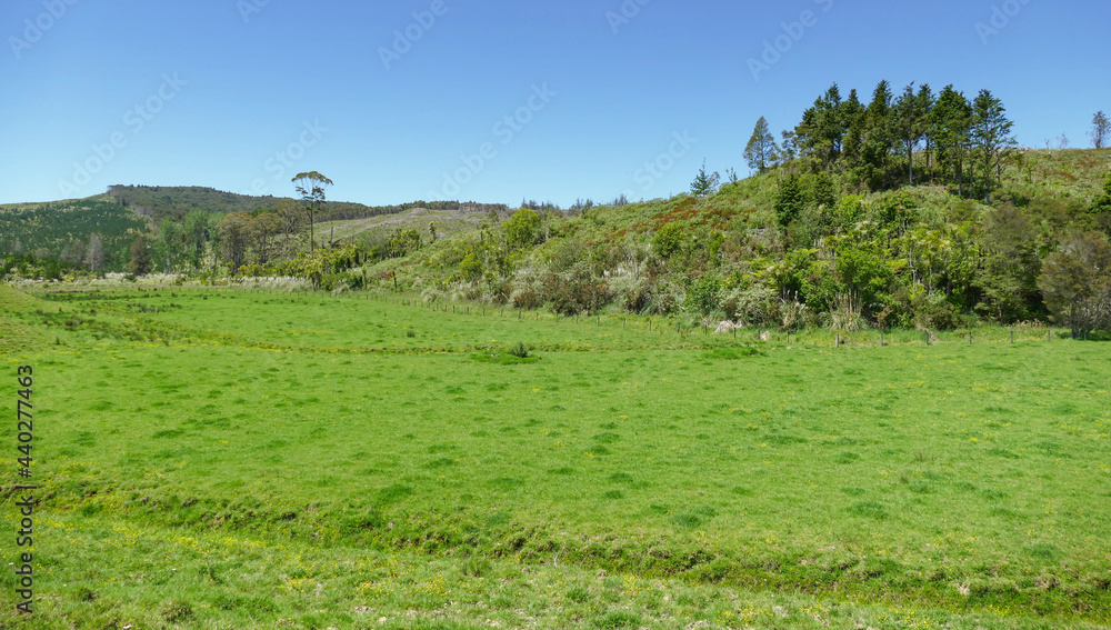 Around Wairere in New Zealand