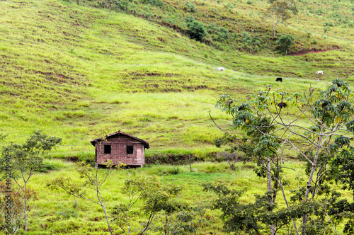 Wattle and daub rustic house in Brazil countryside area