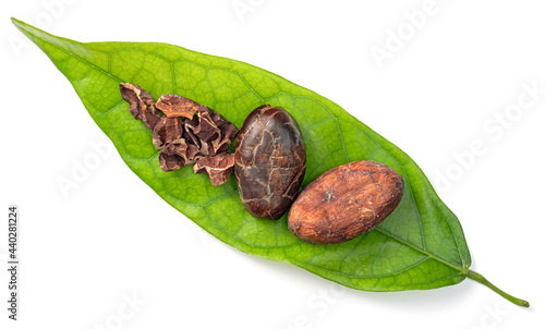 dried cocoa beans on the fresh cocoa leaf, isolated on white background, top view