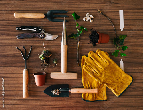 Composition of gardening tools and plants