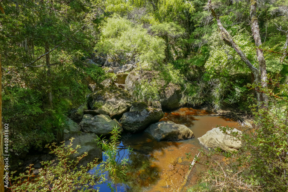 Around Wairere Boulders in New Zealand Around Wairere Boulders in New Zealand