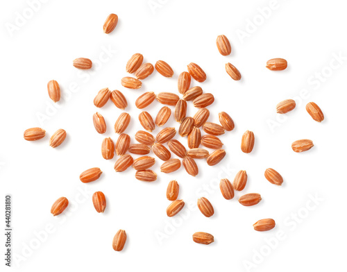 raw short-grain brown rice isolated on white background, top view