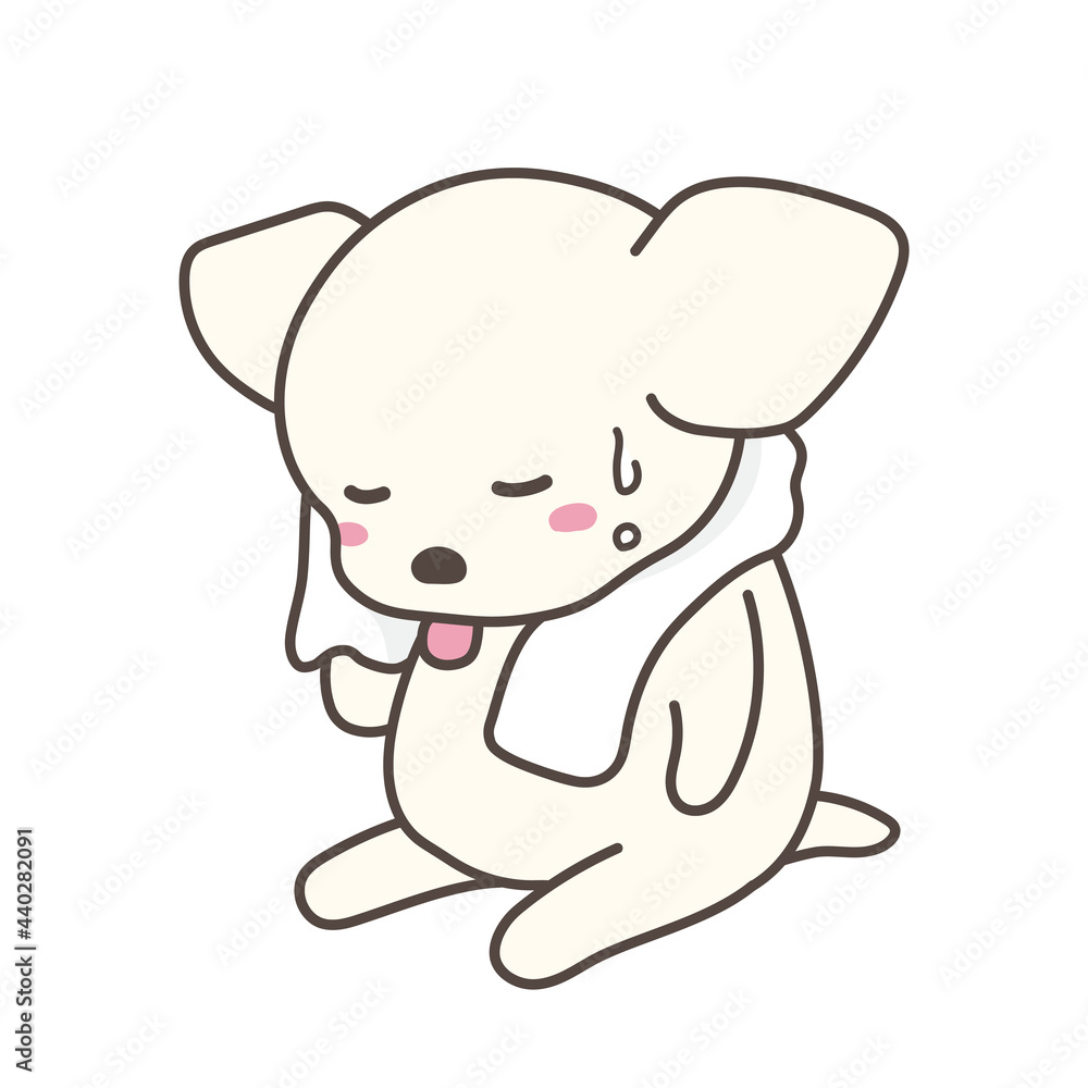 汗をタオルで拭いている犬　チワワ