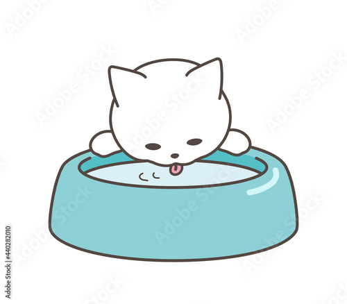 水を飲む猫