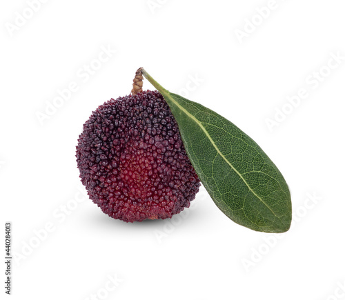 waxberry isolated on white background photo