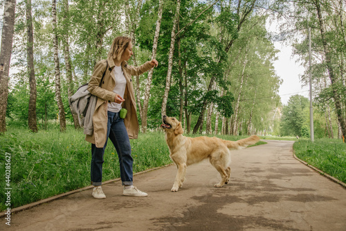 The hostess girl walks in the park with her golden retriever dog in good summer weather © Наталья Анюхина
