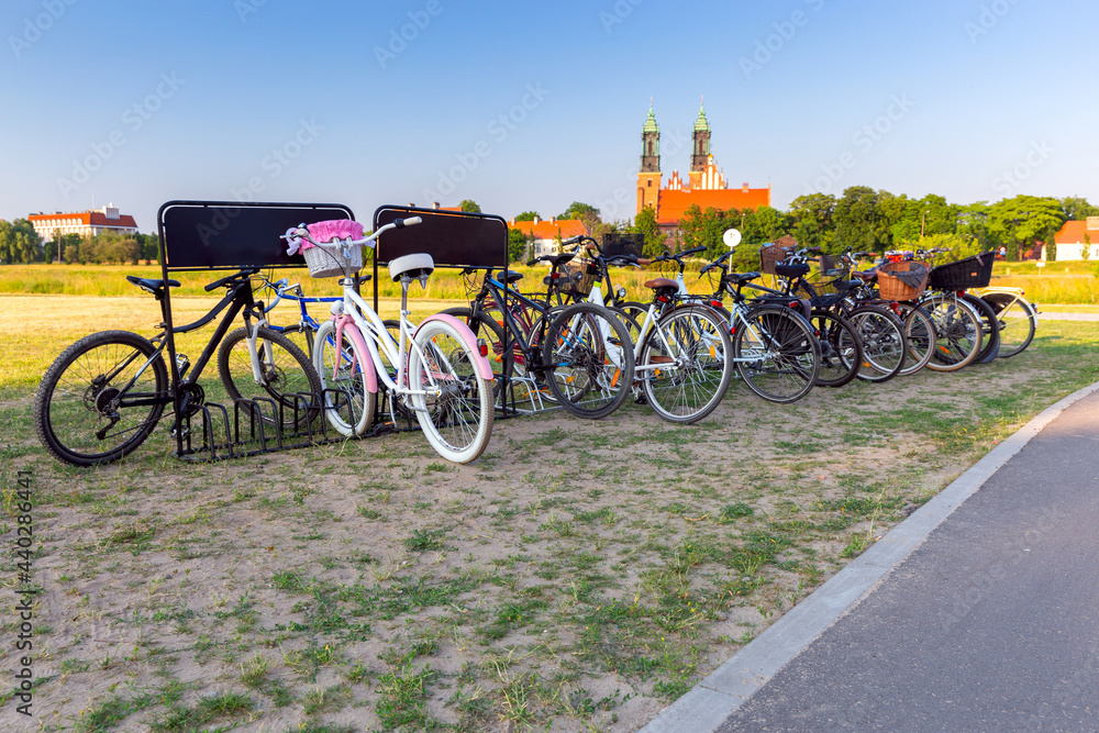 Poznan. Cathedral on Tumskiy Island on a sunny summer evening. Poznan. Cathedral on Tumskiy Island on a sunny summer evening.