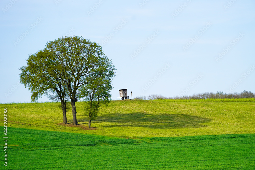 Landscape with green fields near Ahlen, Dolberg. Nature in spring with green meadow and trees Landscape with green fields near Ahlen, Dolberg. Nature in spring with green meadow and trees