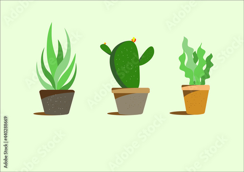 Vector set houseplant cactus and succulent in pot, realistic tree front view.