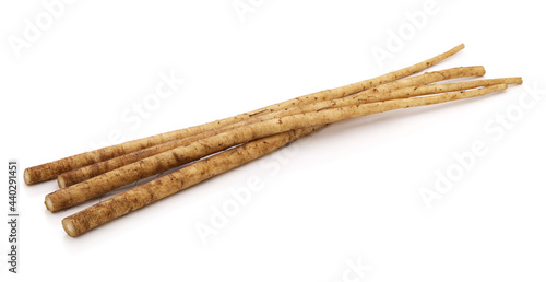 Photo Japanese edible greater burdock root, dietary fiber food