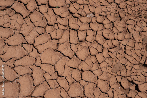 Сracked soil of dry earth.