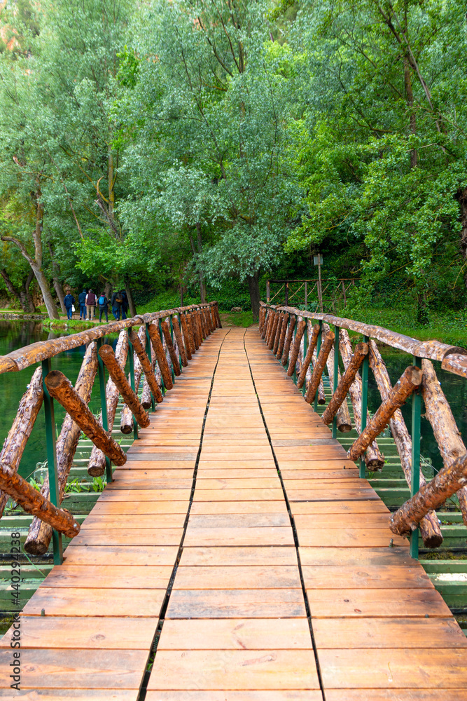Beautiful wood bridge in a leafy green forest. Beautiful wood bridge in a leafy green forest.