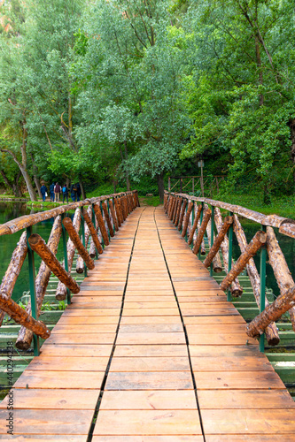 Beautiful wood bridge in a leafy green forest.  Monasterio de Piedra   Zaragoza  Arag  n  Spain.