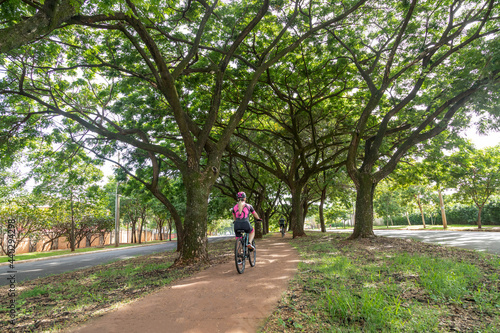 Wallpaper Mural Imagens de Ribeirão Preto em fotos e vídeos Torontodigital.ca