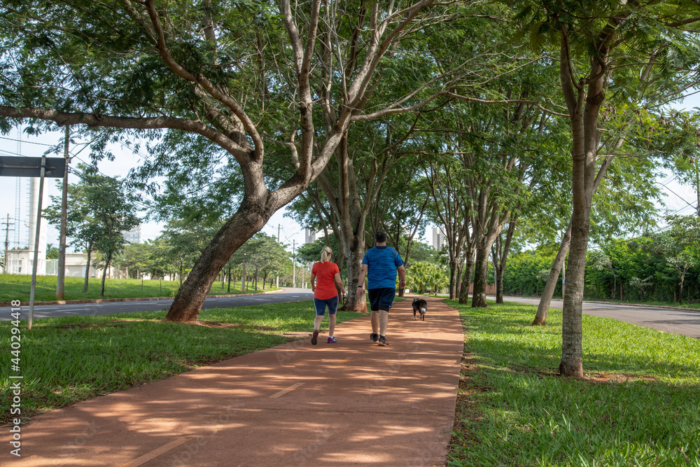 Pista de Caminhada entre árvores