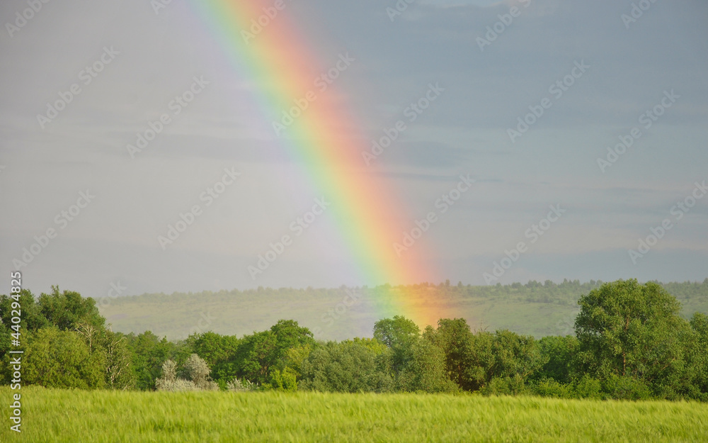 bright rainbow in the sky after rain. blur bright rainbow in the sky after rain. blur