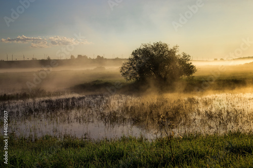 thick fog rises over fields in the rays of the rising sun on a warm summer morning