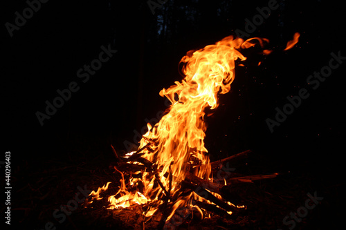A strong flame from a campfire in the night forest. A pagan rite.