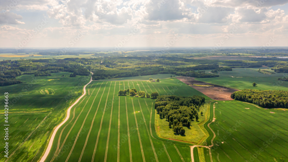 aerial view to countryside with green agricultural fields and forests