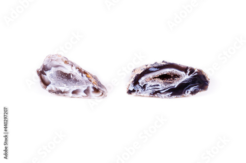 Macro mineral stone agate bud on white background