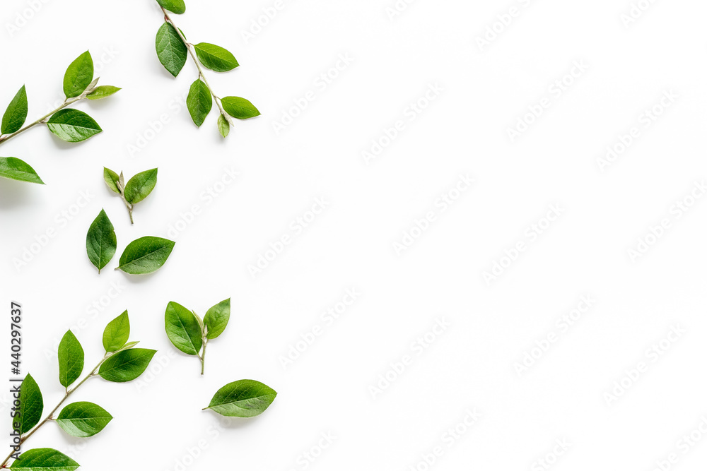 Obraz premium Layout of green leaf and branches isolated on white. Overhead view