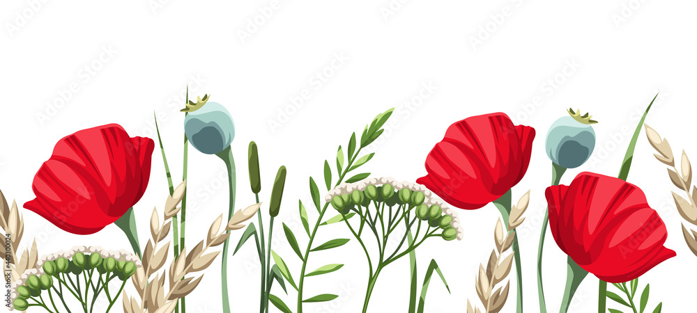 Vector horizontal seamless border with red poppy flowers and wild grasses on a white background. - obrazy, fototapety, plakaty 