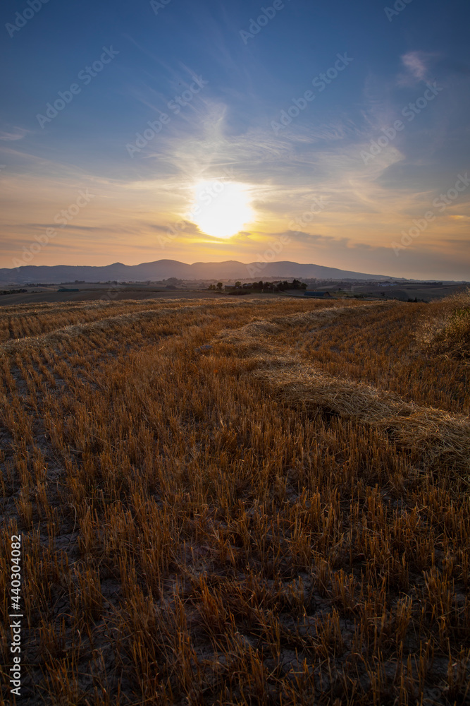 suggestive sunset in the summer straw field in Italy
