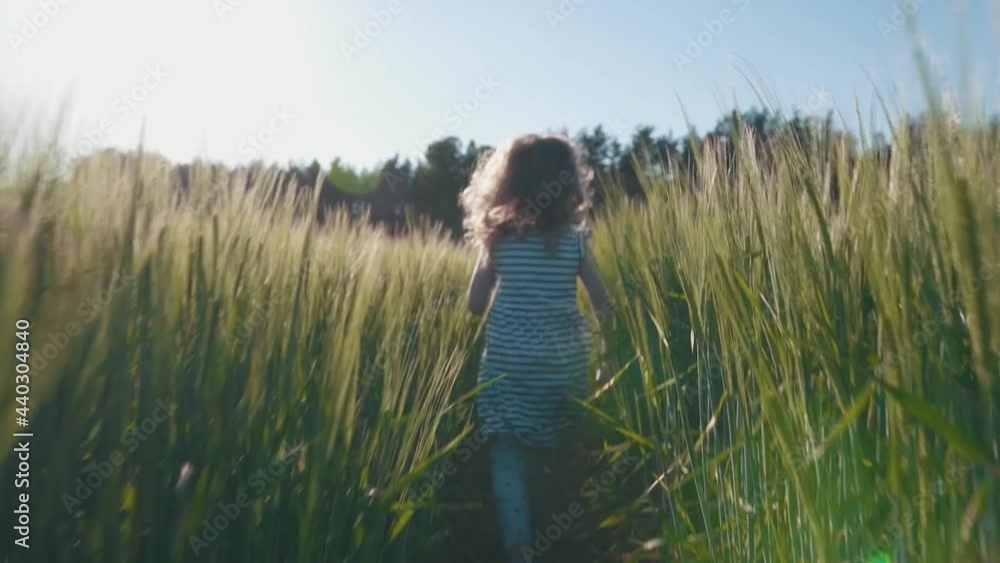 Back view of a joyful child running across a wheat field in the sun, slowmotion. Little curly-haired girl in a dress runs across the field. Dream of child. High quality FullHD footage Back view of a joyful child running across a wheat field in the sun, slowmotion. Little curly-haired girl in a dress runs across the field. Dream of child. High quality FullHD footage