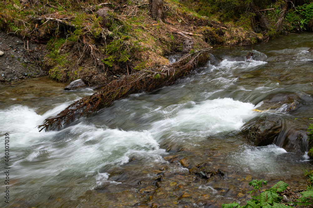 Naklejka premium wild river in the remote mountain area Hochrindl in the Austria region of Carinthia