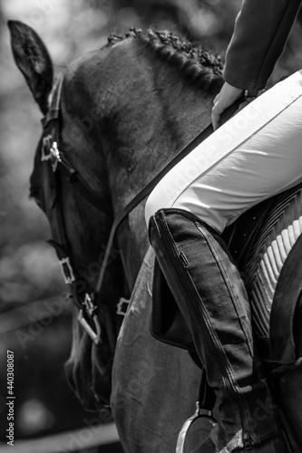 Foto Cavalier sur cheval noir et blanc