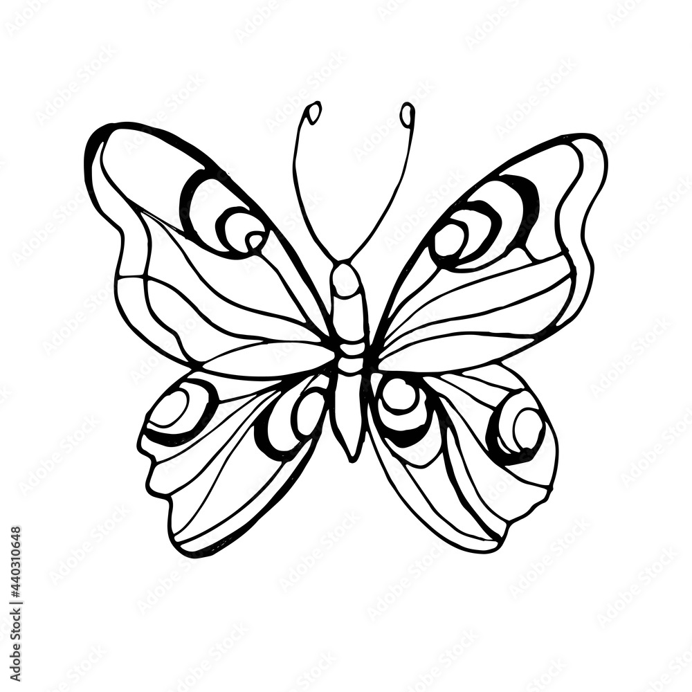 Butterflies insects graphic illustration hand-drawn vector doodle sketch. nature animals wings in flight