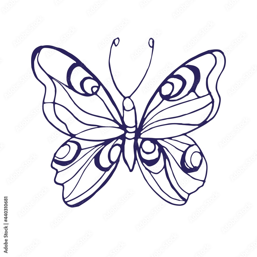 Butterflies insects graphic illustration hand-drawn vector doodle sketch. nature animals wings in flight Butterflies insects graphic illustration hand-drawn vector doodle sketch. nature animals wings in flight