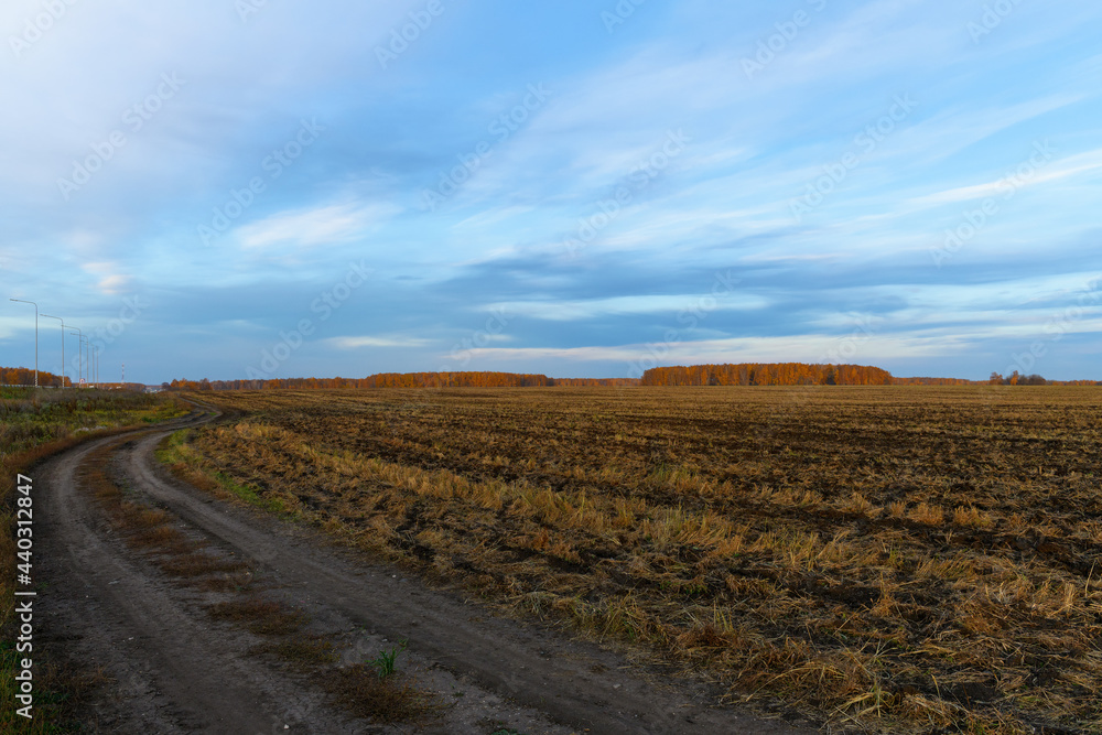 Agricultural field after harvesting cereal, autumn landscape at dusk or dawn of the sun