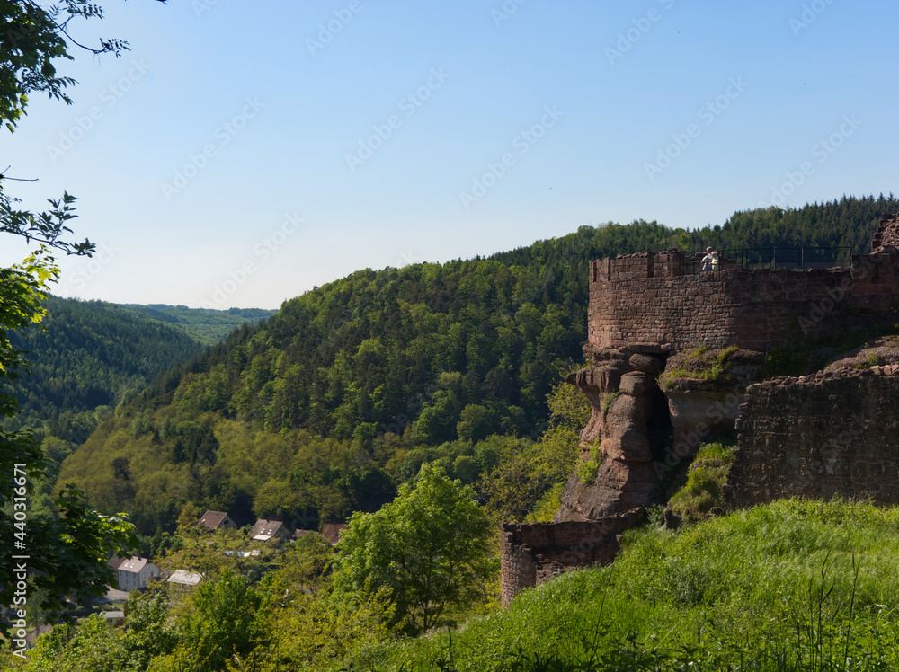 Landscape from the Lutzelbourg castle with its rampart hung up the hill
