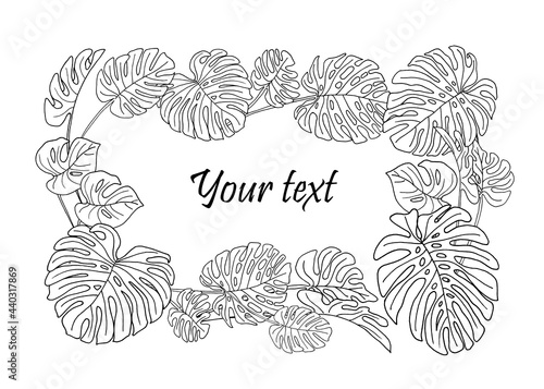 Assorted leaves of Monstera flower. The drawing was made by hand and translated into a vector file.