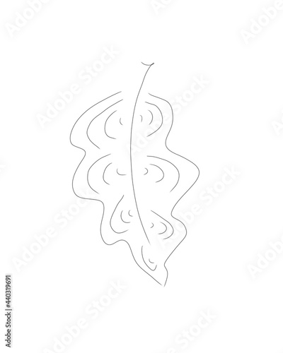 illustration of a leaf