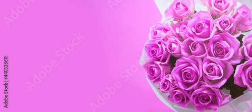A bouquet of pink roses on a pink isolated background, a banner with copy space. High quality photo © daryakomarova