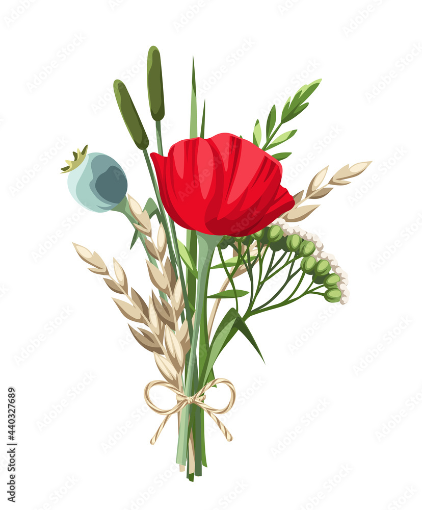 Vector bouquet of red poppy flowers and wild grasses isolated on a white background.
