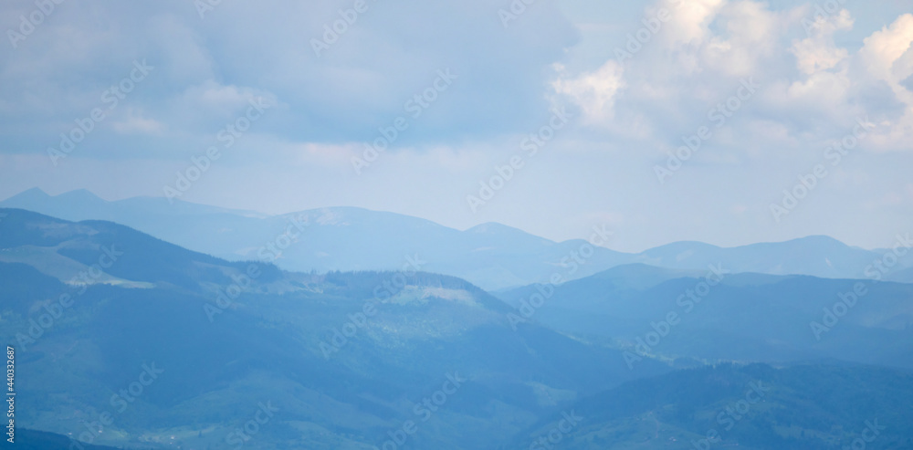 Mountain meadow on a sunny summer day against the backdrop of the Carpathian mountains in Ukraine