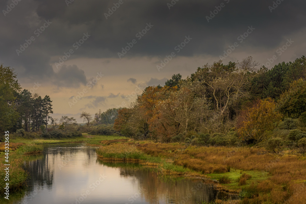 beautiful scenic autumn landscape with dark clouds  in the Amsterdam Water Dunes